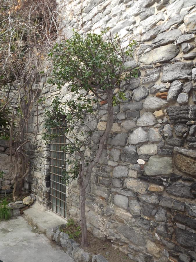 New Hotel Genio Porto Venere Exteriör bild